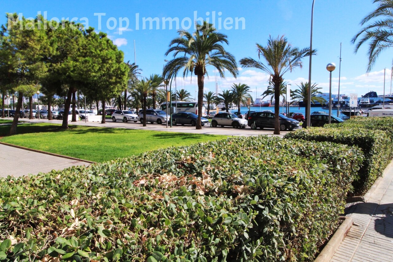 Wohnung am Paseo Maritimo ()