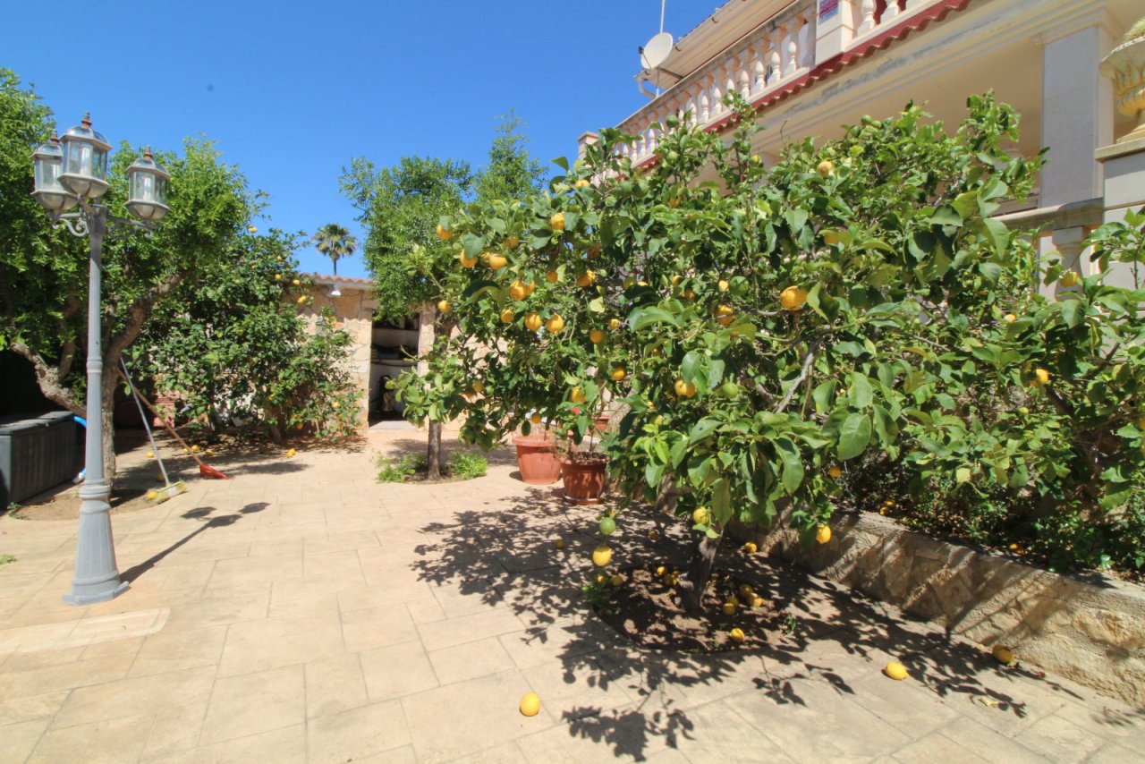 Terrasse/Garten