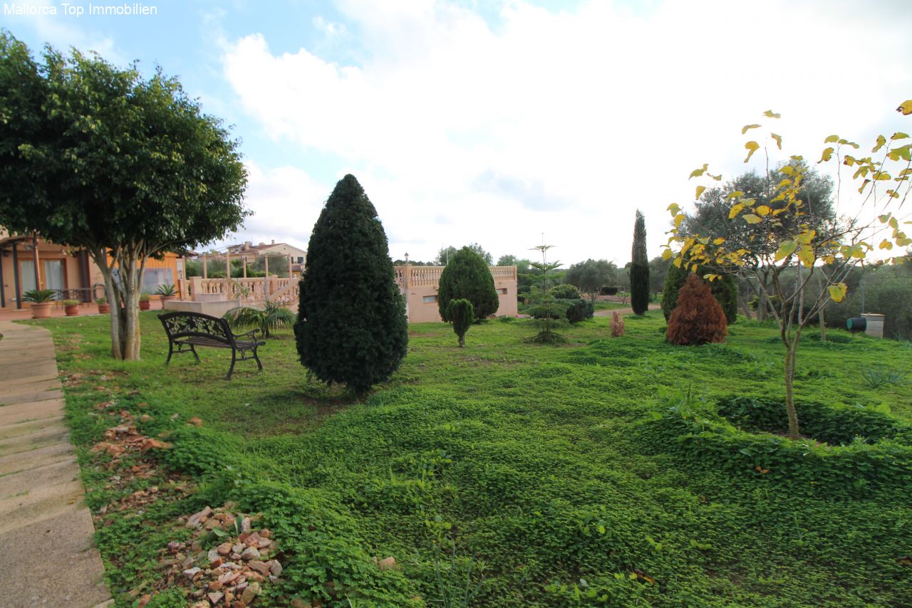 Finca with rental license