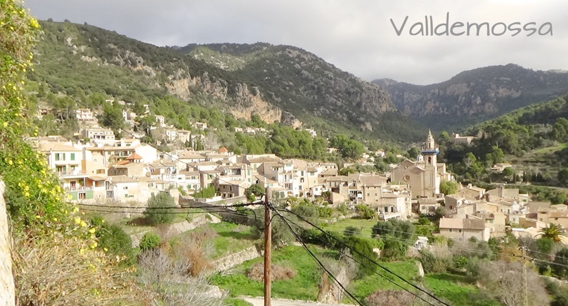 Deutsche Immobilienmakler und beliebte Orte auf Mallorca