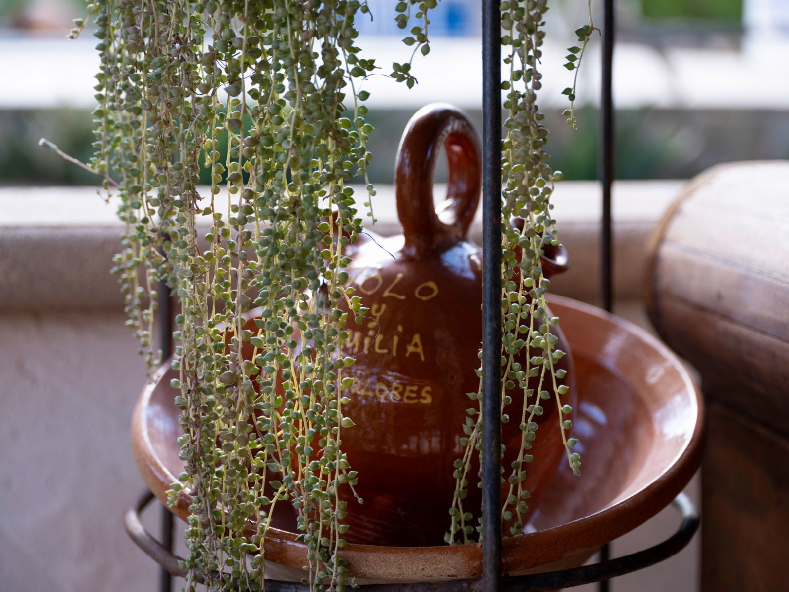 Terrakotta-Gefäß mit mediterraner Pflanze auf einer Finca auf Mallorca
