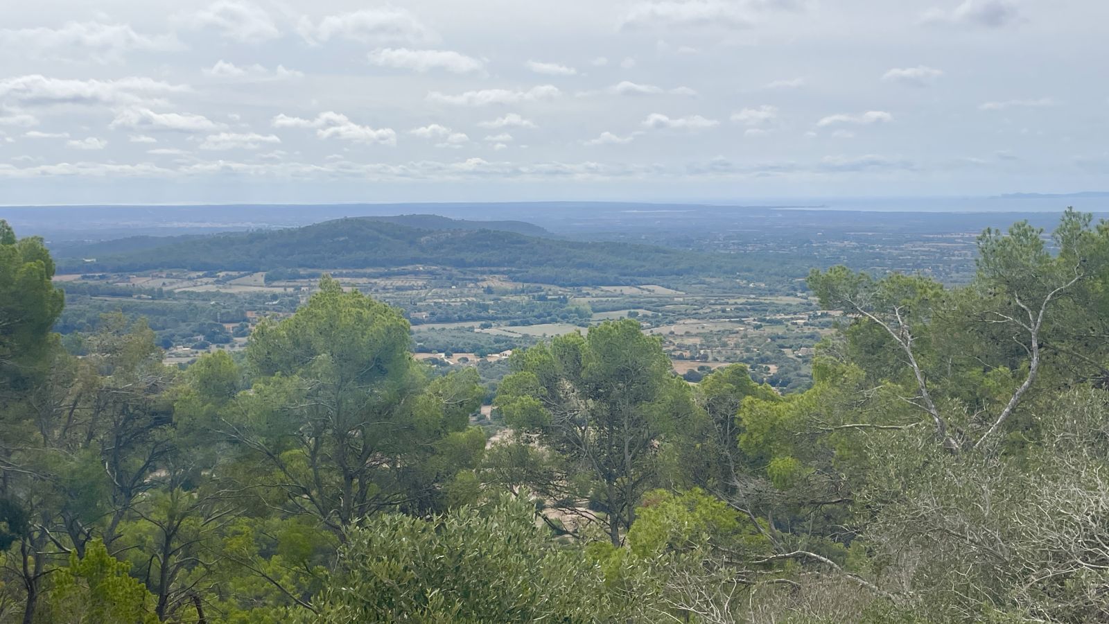 Für Freunde des Golfsports ist Mallorca ein Eldorado.